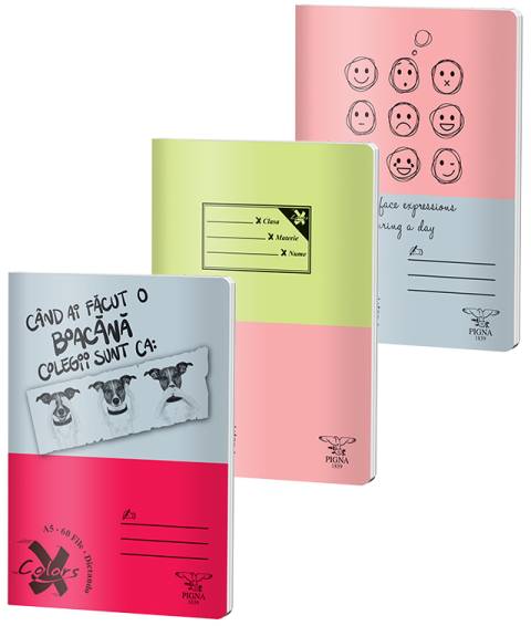 Caiet BASIC A5 60file, dictando, 60gr