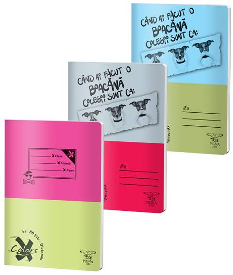 Caiet BASIC A5 80file, dictando, 60gr