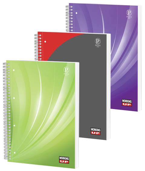 Caiet spira A4 120file dictando Cartonat WorkingUp