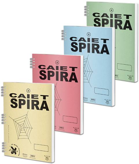 Caiet Spira A4 50file matematica Pigna