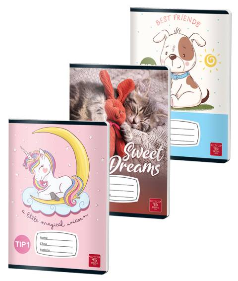 Caiet CLASIC Tip 1 A5 24file 70gr