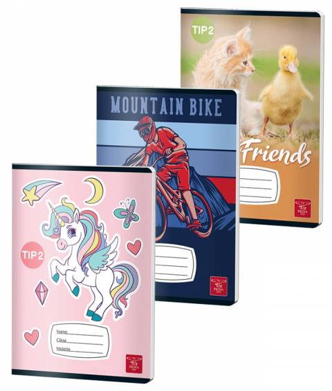 Caiet CLASIC Tip 2 A5 24file 70gr